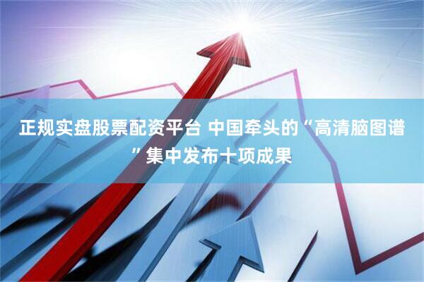 正規(guī)實(shí)盤股票配資平臺(tái) 中國牽頭的“高清腦圖譜”集中發(fā)布十項(xiàng)成果