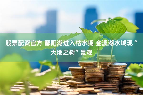 股票配資官方 鄱陽(yáng)湖進(jìn)入枯水期 金溪湖水域現(xiàn)“大地之樹”景觀